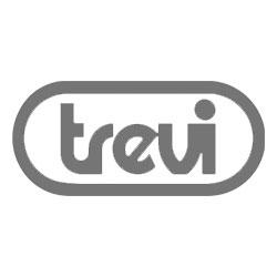 Picture for manufacturer Trevi