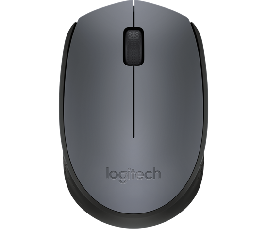 Picture of Logitech M170