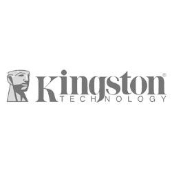 Picture for manufacturer Kingston