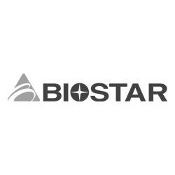 Picture for manufacturer Biostar