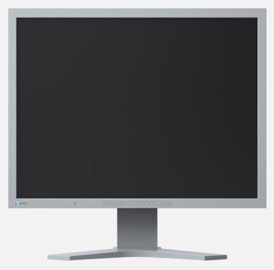 Picture of Eizo FlexScan S2133-GY