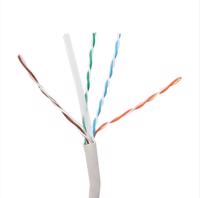 Picture of Lansan UTP CAT6 Wall kotur 305m, BC, permlink test