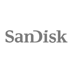 Picture for manufacturer SanDisk